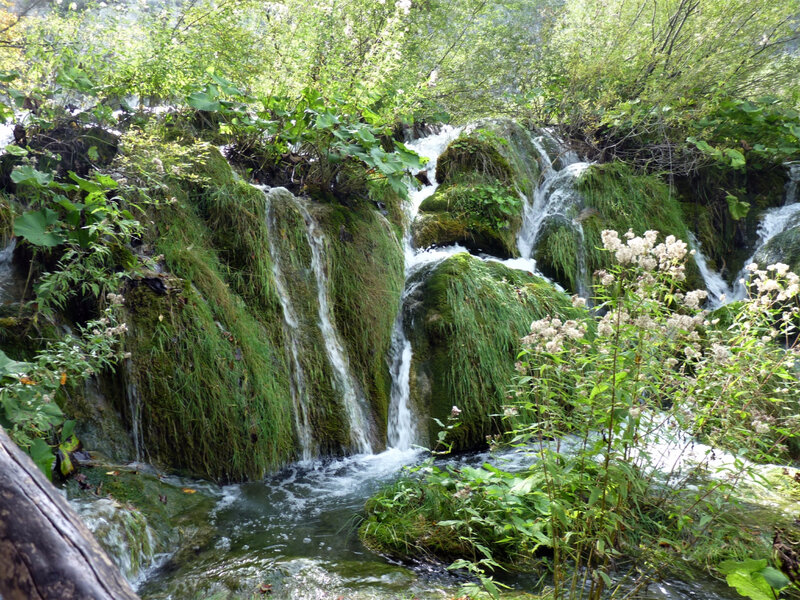 P1040700 - Copie (2)
