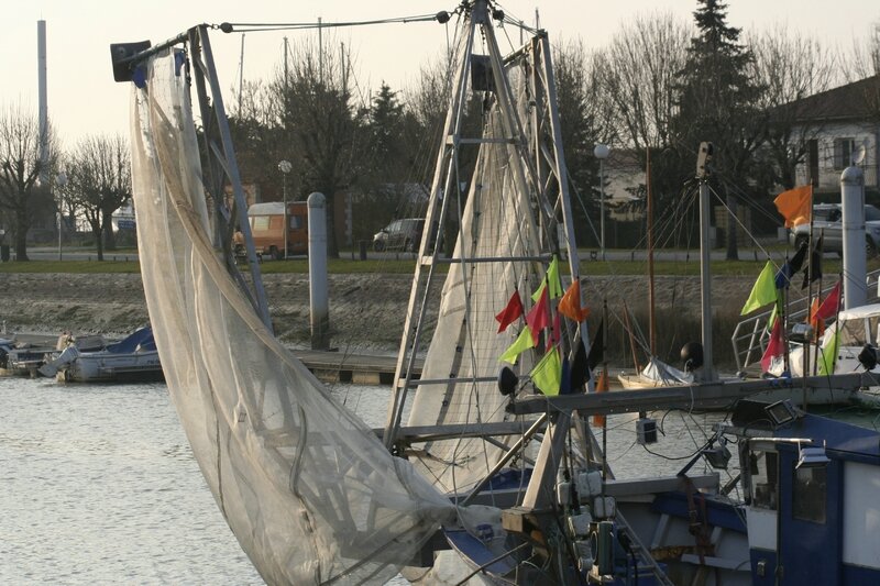 Mortagne sur Gironde 078