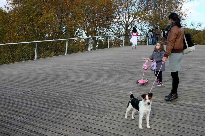 4-Chien passerelle BNF_3289