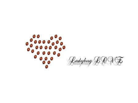 Ladybug_LOVE_by_stephanielok