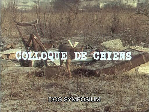 colloque_de_chiens_1