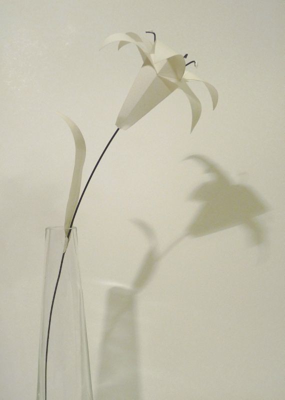 Lys de papier