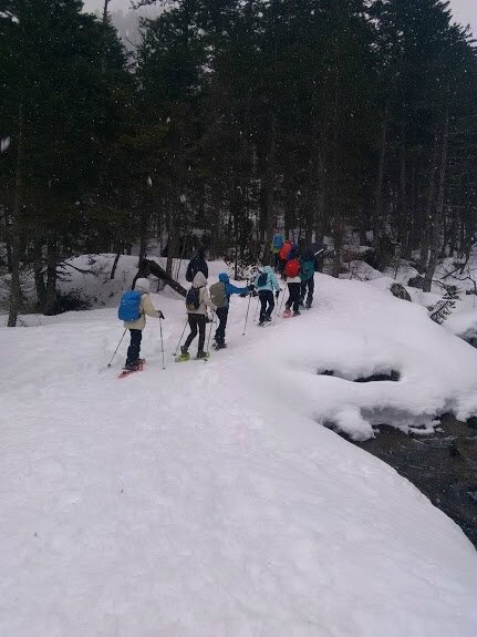 Cauterets8