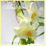 bouquet_madeline_3
