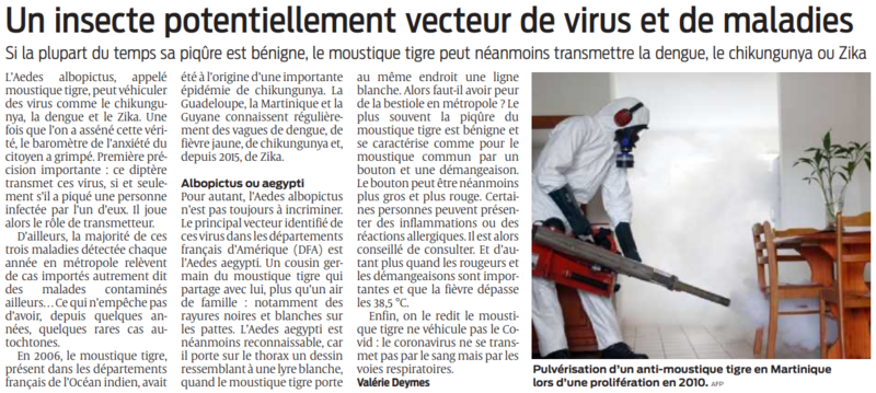 2022 06 11 SO Un insecte potentiellement vecteur de virus et de maladies