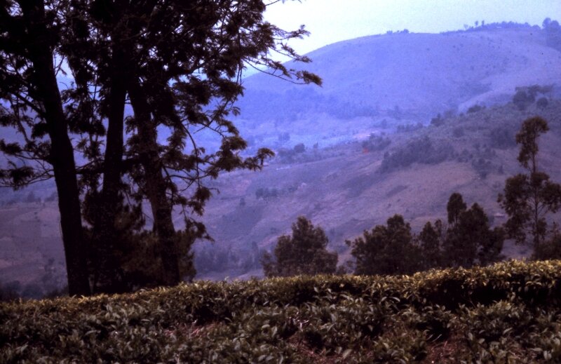 rwanda 29