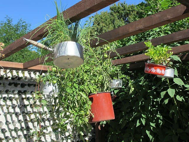 blog chau30