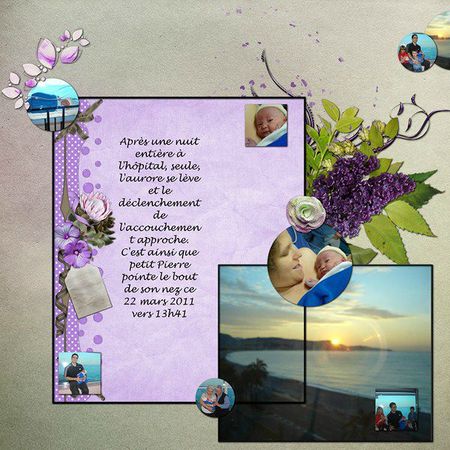 2011-03-22_kitappleandvioletflowersdebutterflyettemplate (Copier)