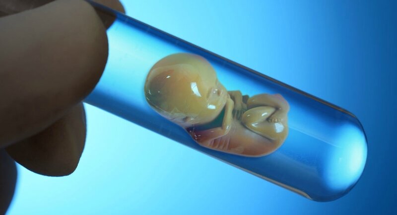 Embryon tube