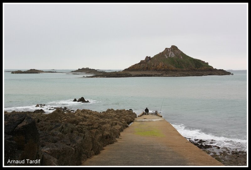 00240 Bretagne - Baie de St Brieuc - L'Ilot de Verdelet blog 2