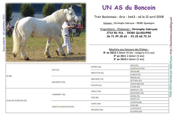 Un_As_du_Boncoin