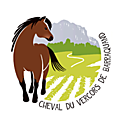 24 mars 2016 - Démonstration de travail en Vigne avec chevaux du Vercors de Baraquand - Tain l'Hermitage (26)
