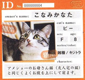 nekomoto_idchi