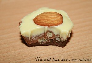 Ptits chocolats noisette, amande, noix de pécan ou céréales recettes dessert Ptits chocolats noisette, amande, noix de pécan ou céréales