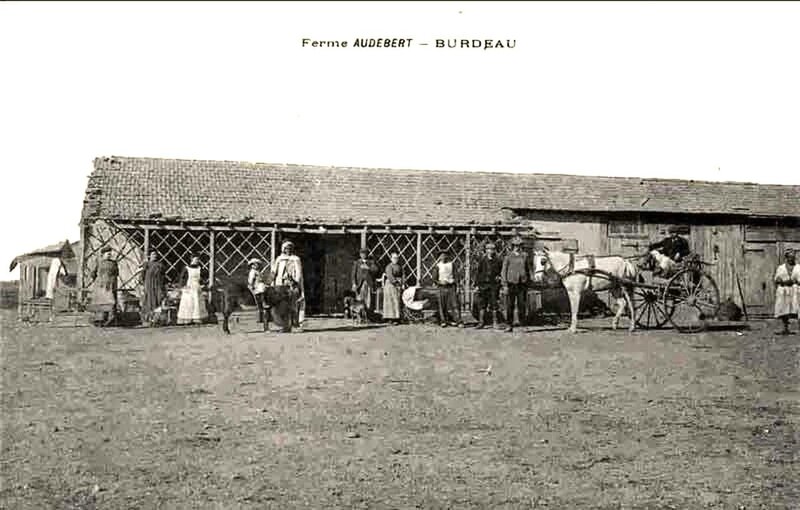 Burdeau 601