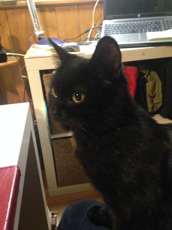 Tosca