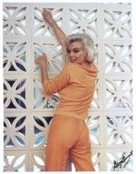 1962-06-tim_leimert_house-pucci_orange-by_barris-032-1