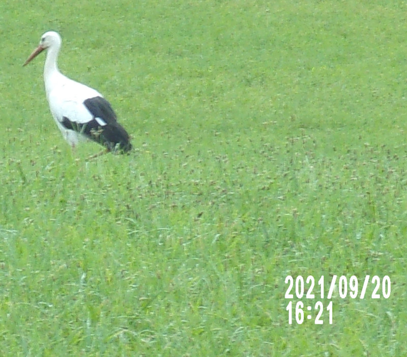 104_0327 (2)