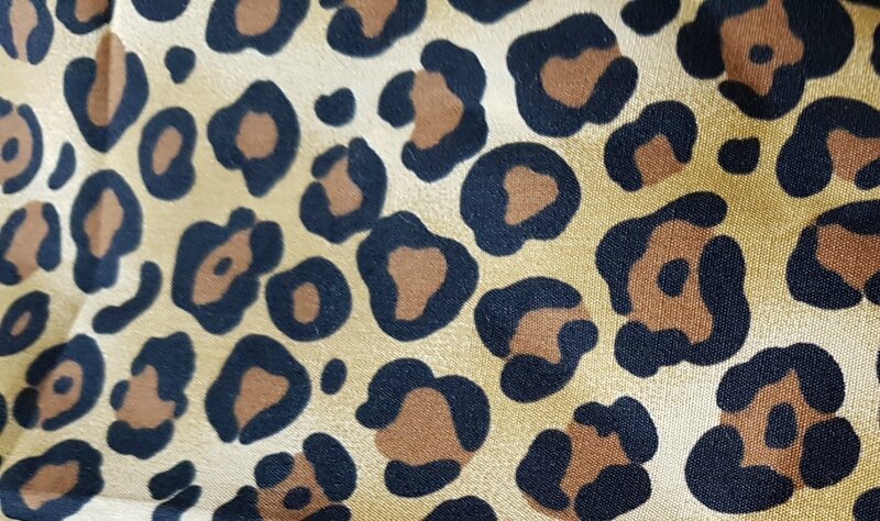 leopard