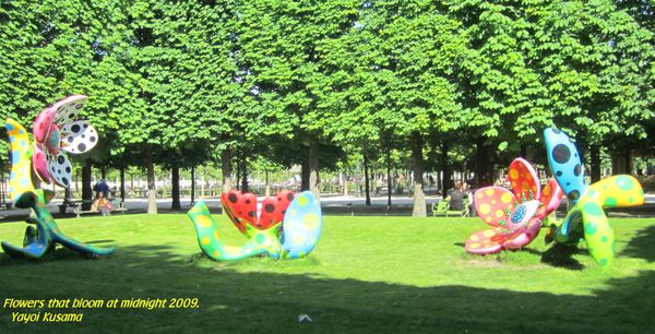 Fleurs - Jardin des Tuileries