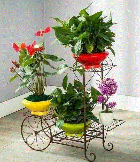 etagere plante14