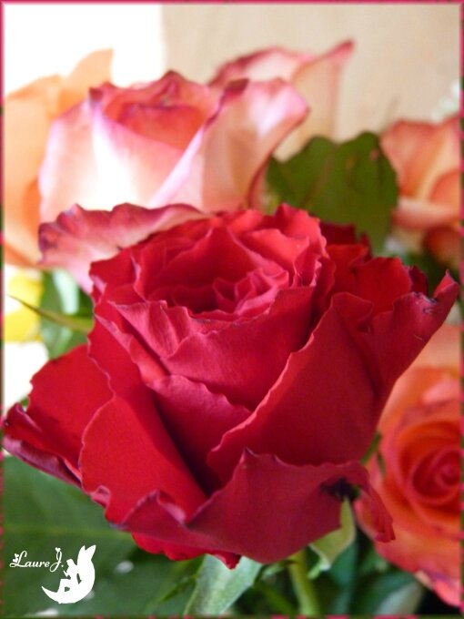 Bouquet de roses 5g