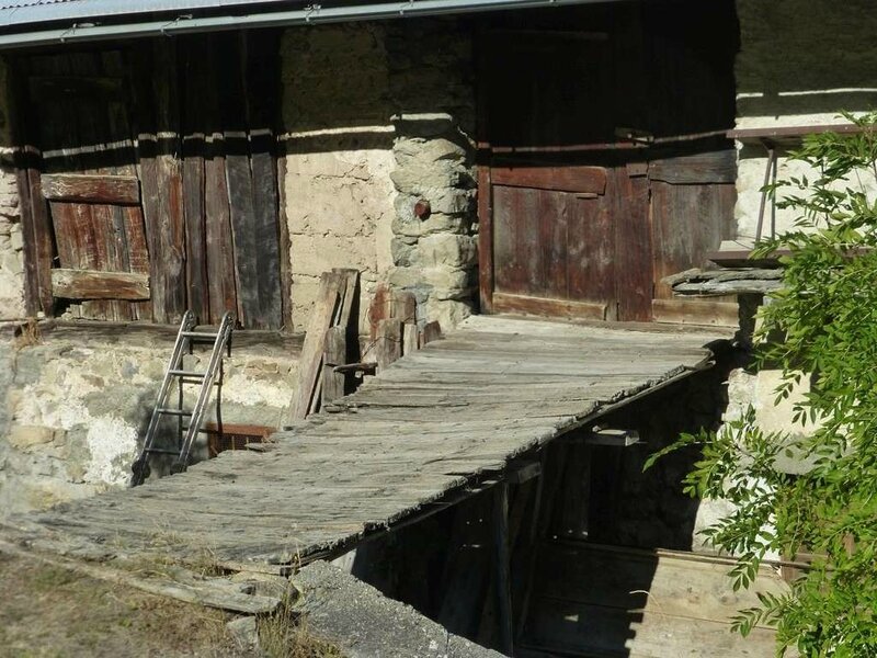 champcella (2)