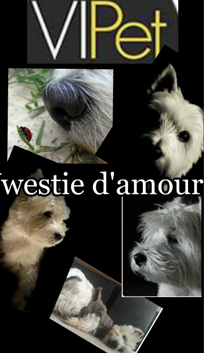 westie d'amour
