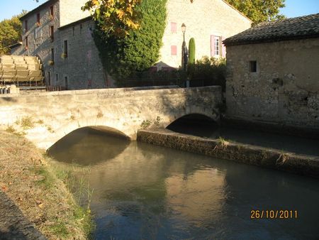 IMG_3789