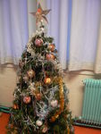 sapin1