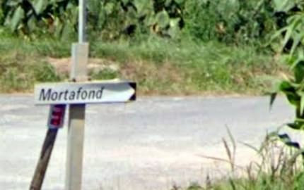 mortafond z