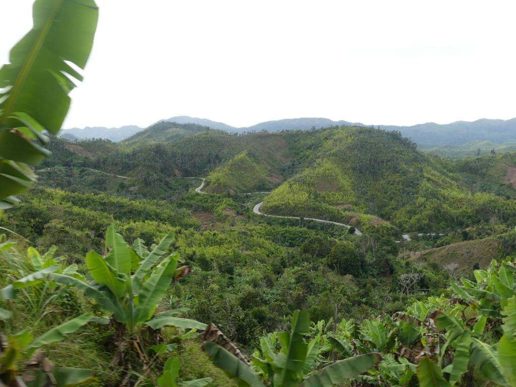 P1230631