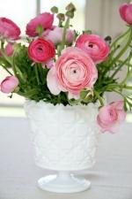 décoration-florale-printemps-renoncules-roses