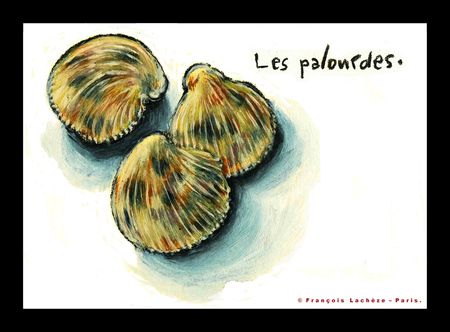 _Les_palourdes