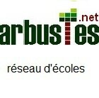 arbustes1