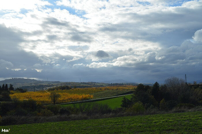 181110_Tournon_3