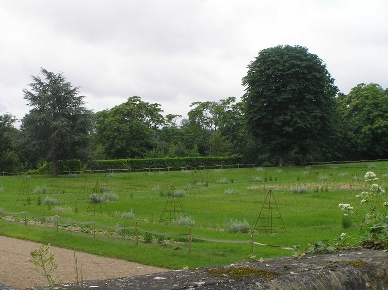 Jardin en train de se créer