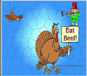turkey_Eat_Beef