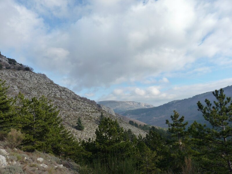 P1090265 - Copie