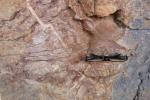fissure bizarre et fossiles