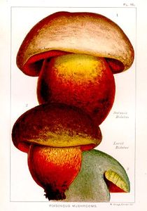 EPM_Plate_18