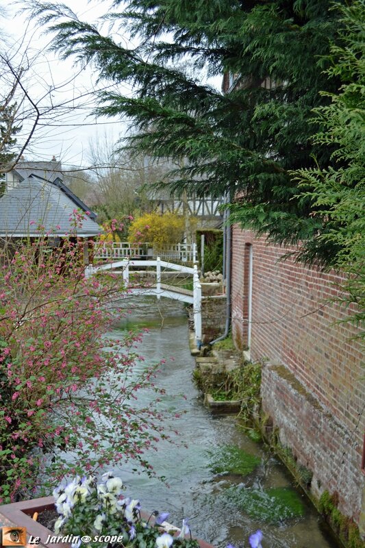 4609-La-Veules