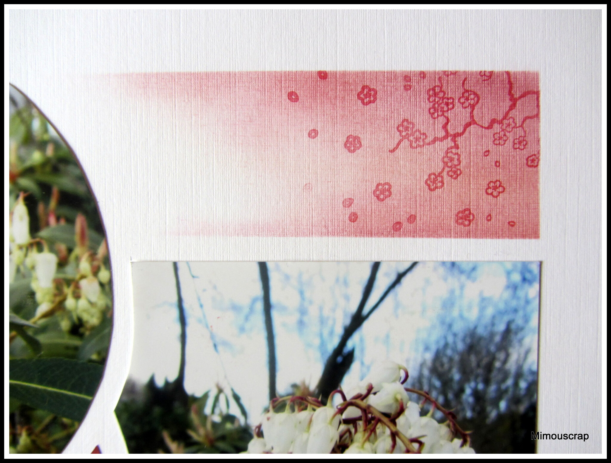 Jardin 2016 109