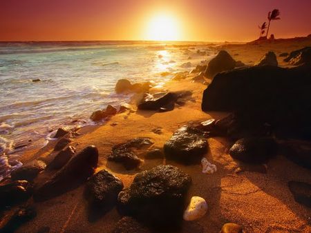 Shoreline_Sunset__Hawaii