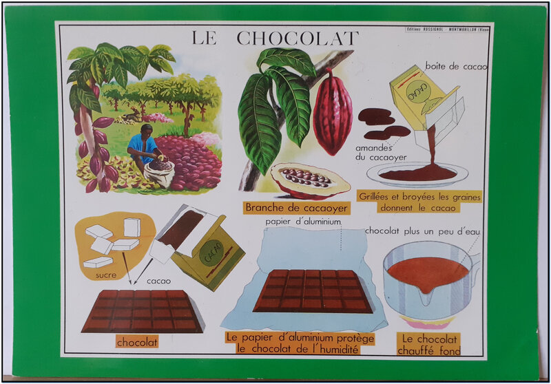 L'école en images - Le chocolat - planche scientifique