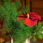 les fleurs chez moi (24)