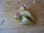 salade_printani_re__8_
