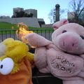 billy the pig et duffy the duck