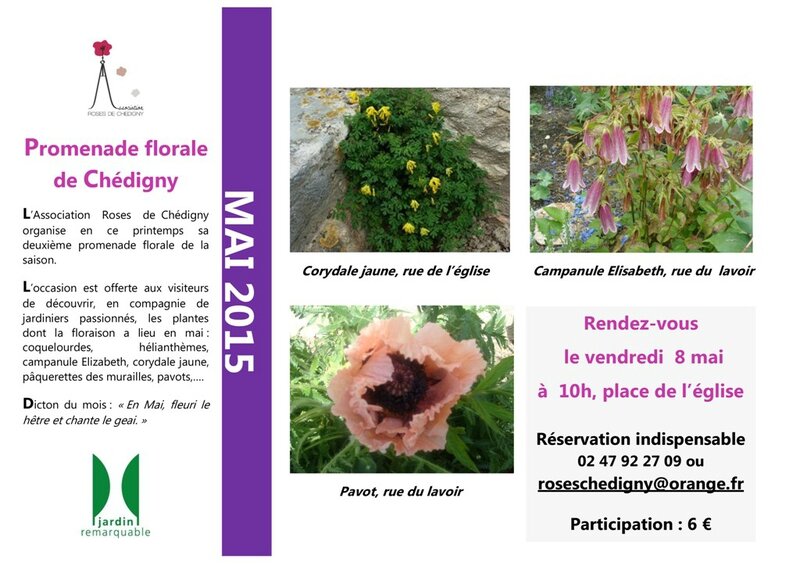Promenade florale Chédigny mai 2015