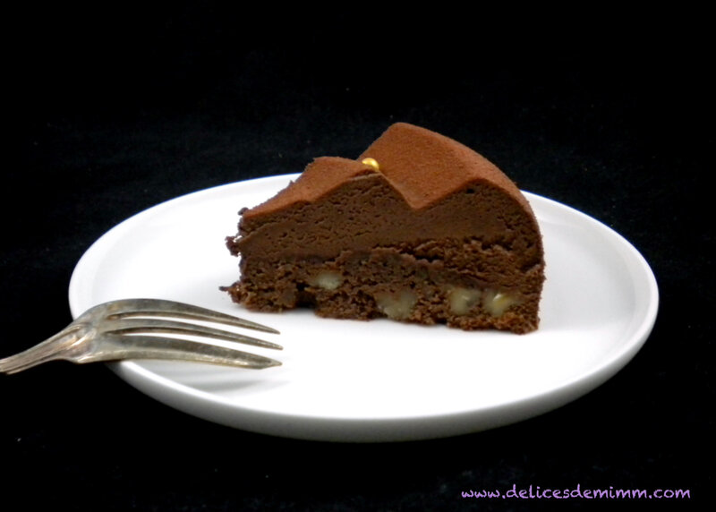 Spirale chocolatée sur brownie aux noix 6